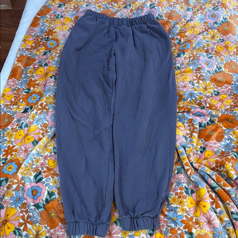 Brandy Melville Blue Sweats